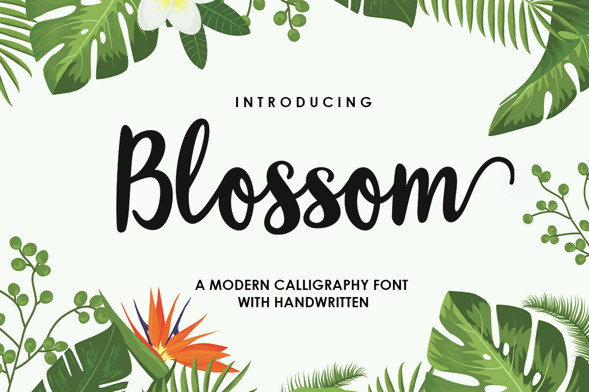 Download Blossom Script Font&nbsp; - Script font Collection